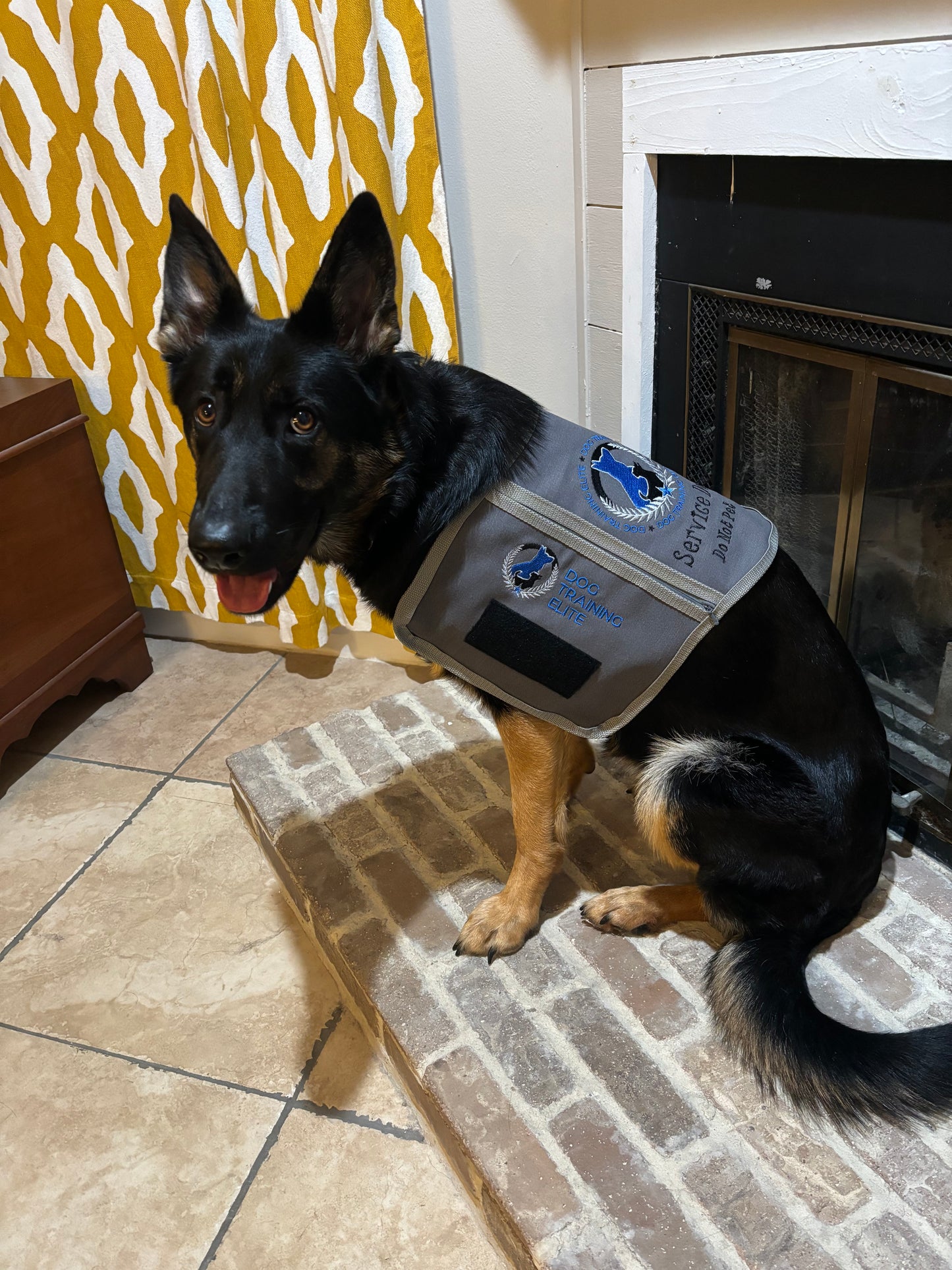 Dog Training Elite Gray Vest