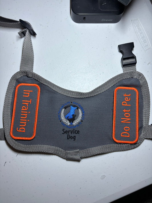 Training/Small Vest